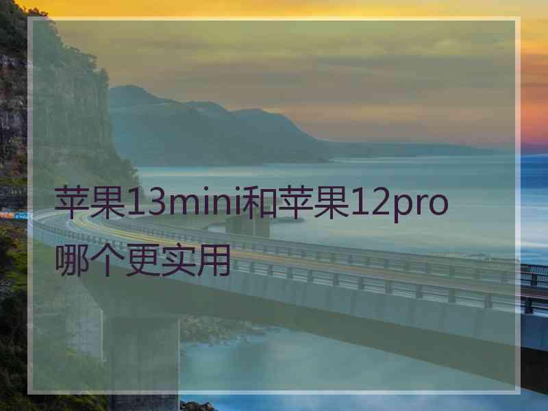 苹果13mini和苹果12pro哪个更实用