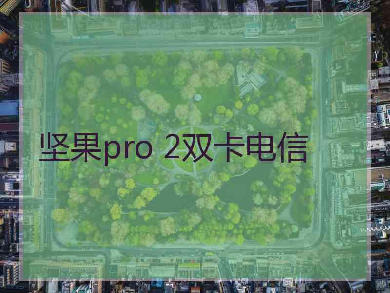 坚果pro 2双卡电信