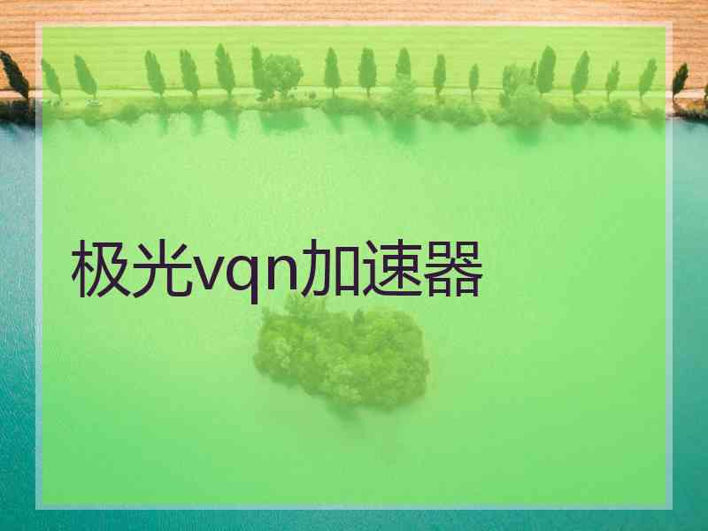 极光vqn加速器