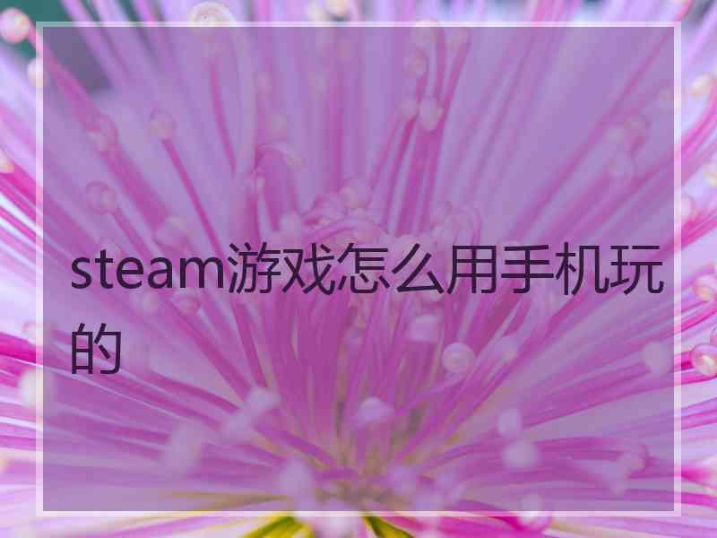 steam游戏怎么用手机玩的