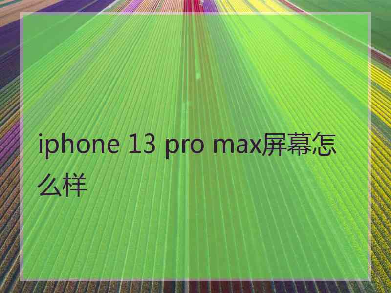 iphone 13 pro max屏幕怎么样