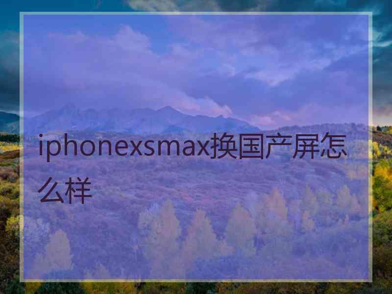 iphonexsmax换国产屏怎么样