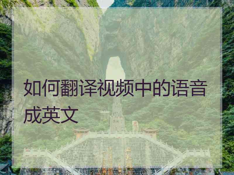 如何翻译视频中的语音成英文