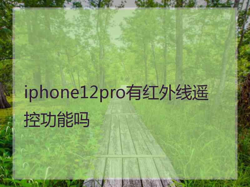 iphone12pro有红外线遥控功能吗