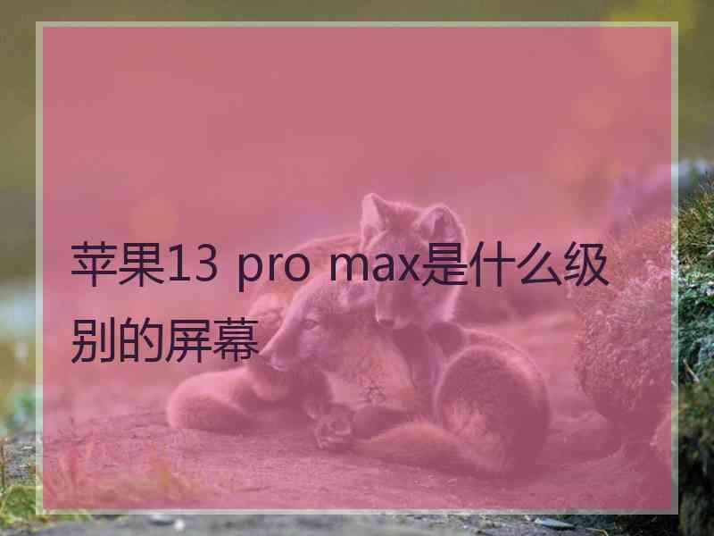 苹果13 pro max是什么级别的屏幕