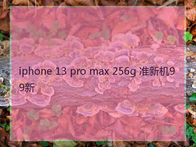 iphone 13 pro max 256g 准新机99新