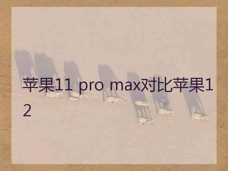 苹果11 pro max对比苹果12