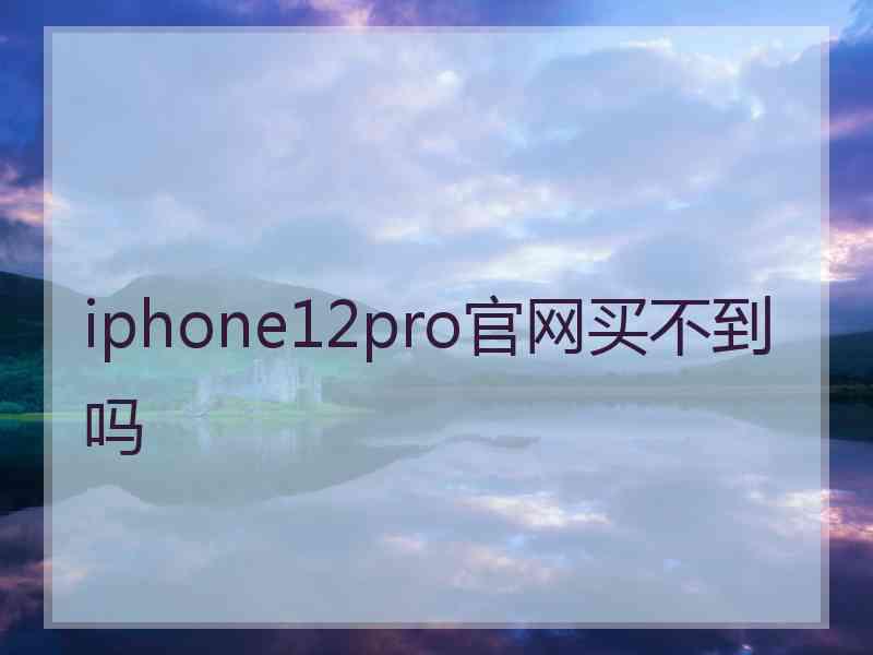 iphone12pro官网买不到吗