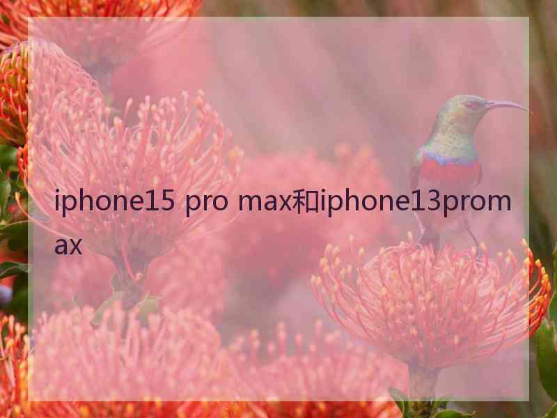 iphone15 pro max和iphone13promax