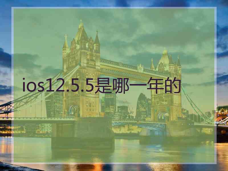 ios12.5.5是哪一年的