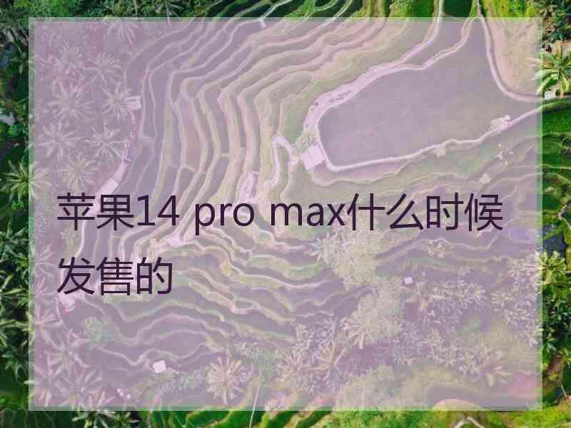 苹果14 pro max什么时候发售的