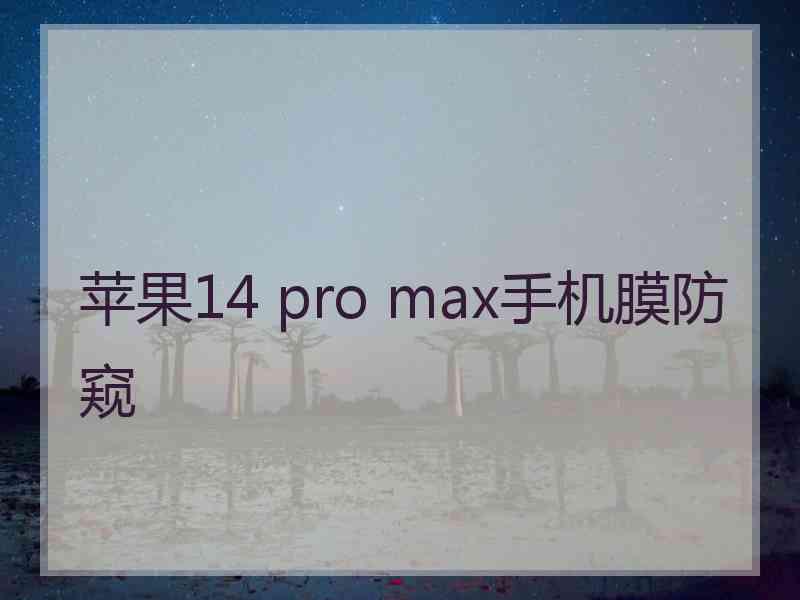 苹果14 pro max手机膜防窥