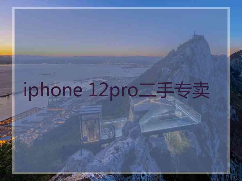 iphone 12pro二手专卖