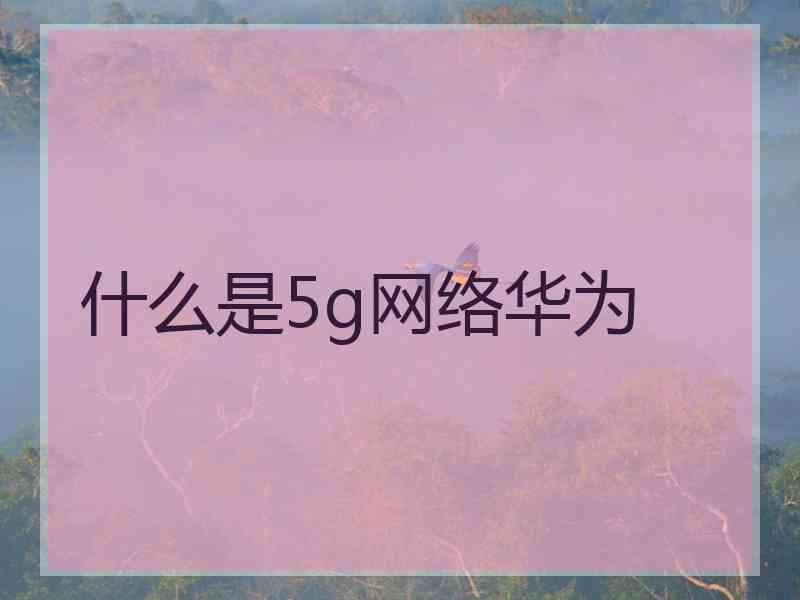 什么是5g网络华为