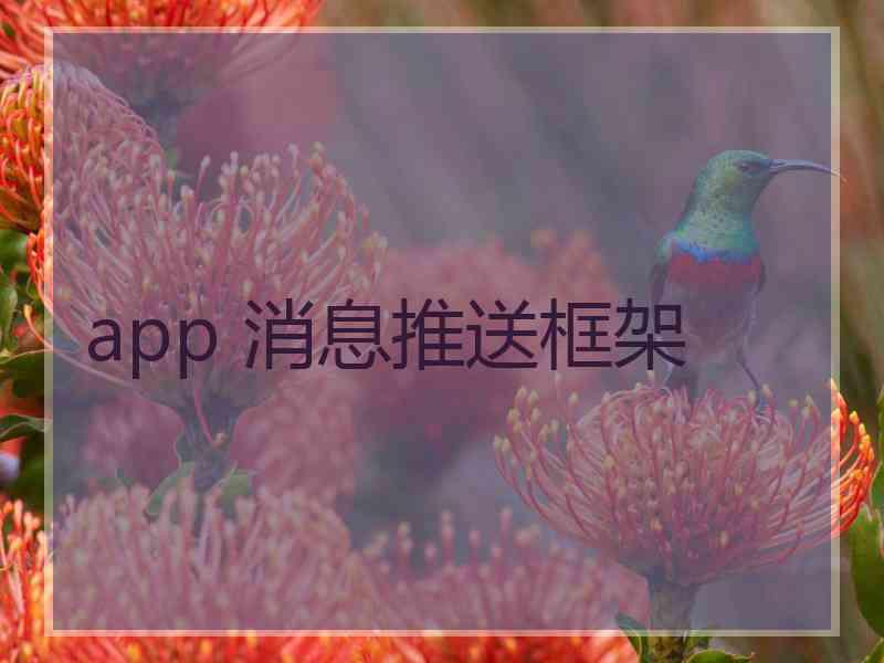 app 消息推送框架