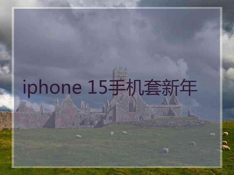 iphone 15手机套新年