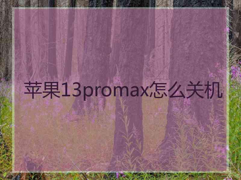 苹果13promax怎么关机