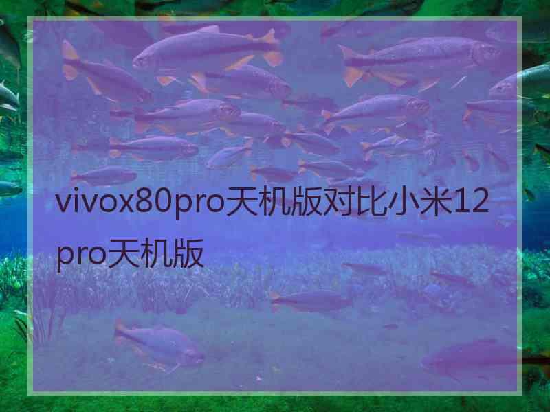 vivox80pro天机版对比小米12pro天机版