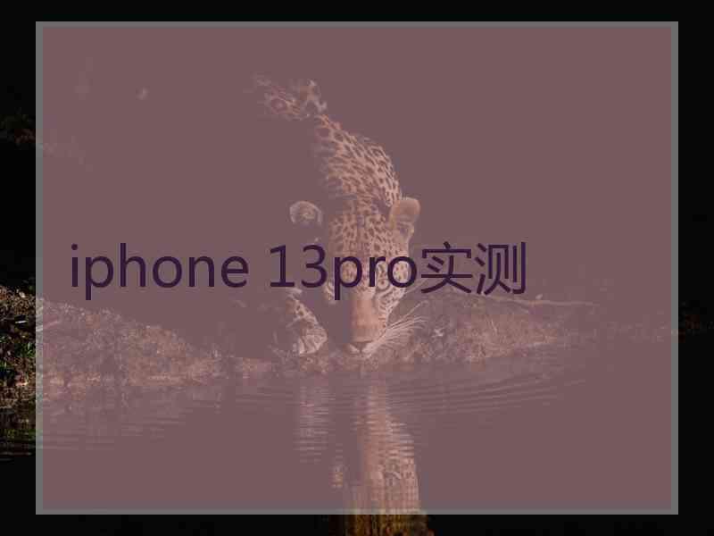 iphone 13pro实测