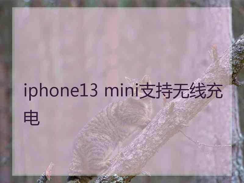 iphone13 mini支持无线充电