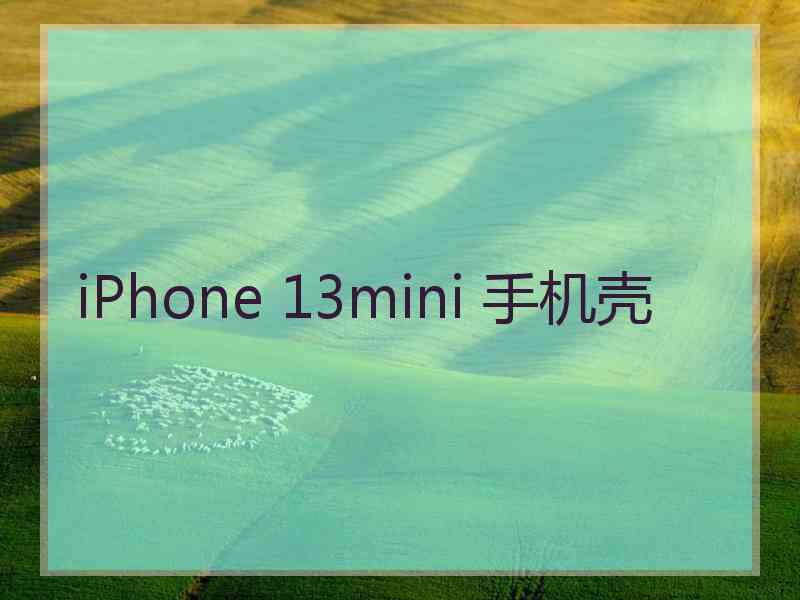 iPhone 13mini 手机壳