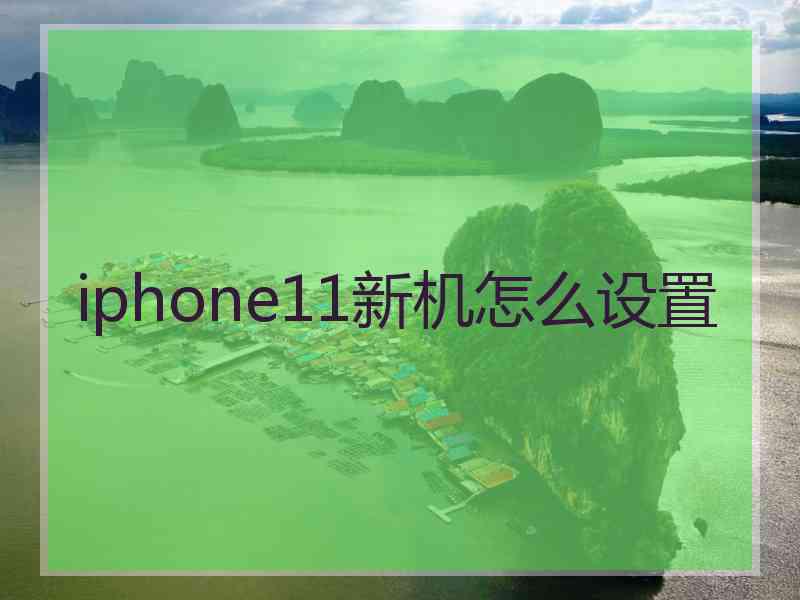 iphone11新机怎么设置