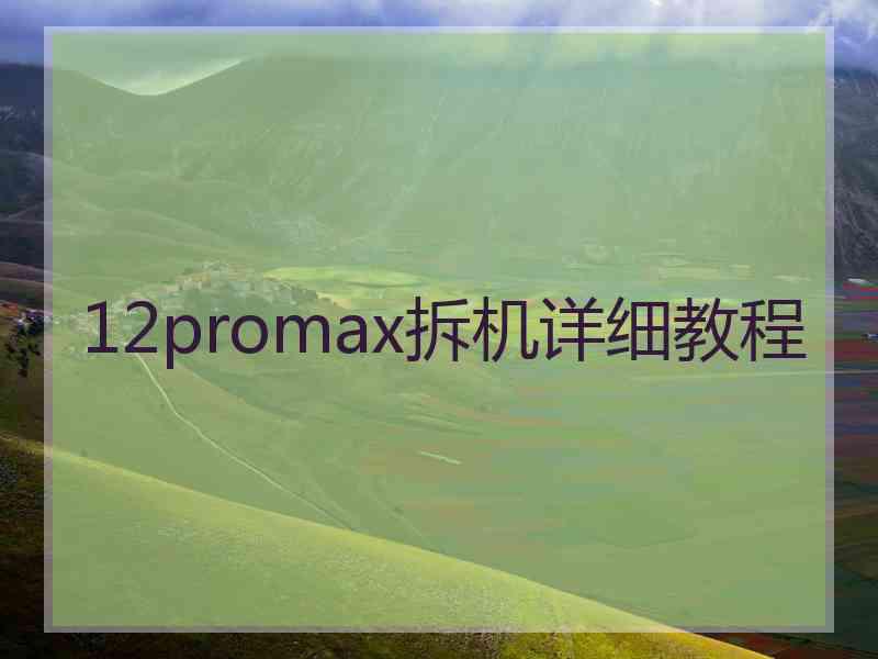 12promax拆机详细教程