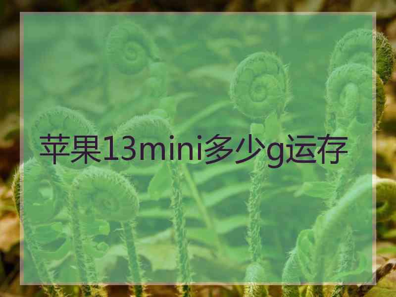 苹果13mini多少g运存