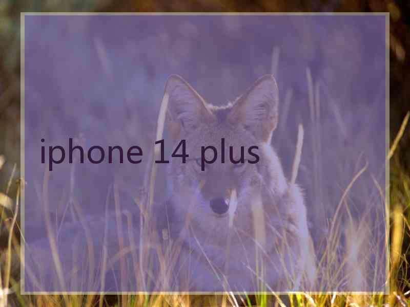 iphone 14 plus