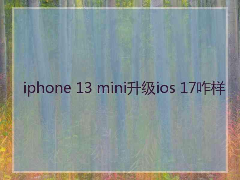 iphone 13 mini升级ios 17咋样