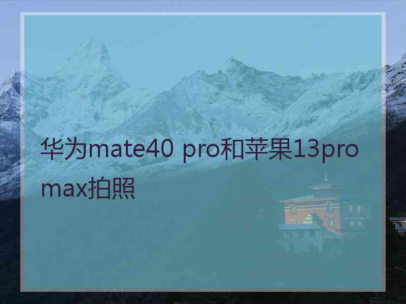 华为mate40 pro和苹果13promax拍照