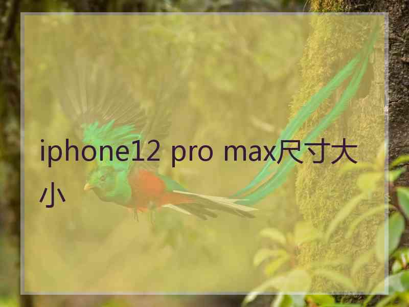 iphone12 pro max尺寸大小