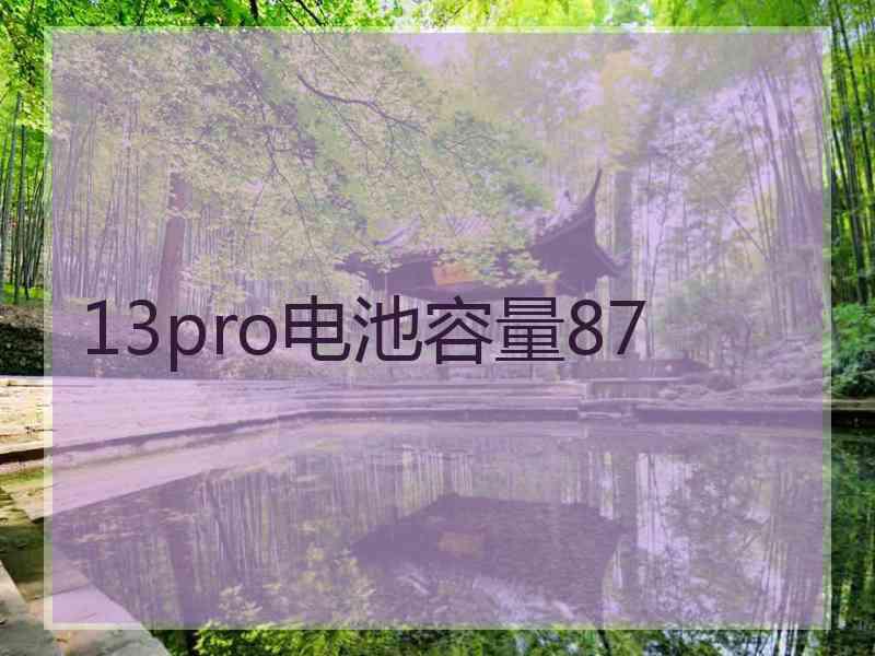 13pro电池容量87