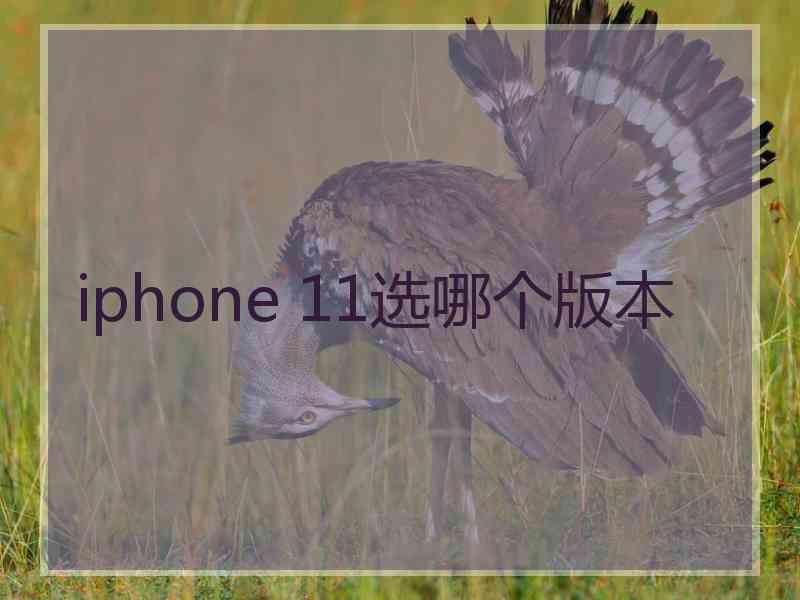 iphone 11选哪个版本