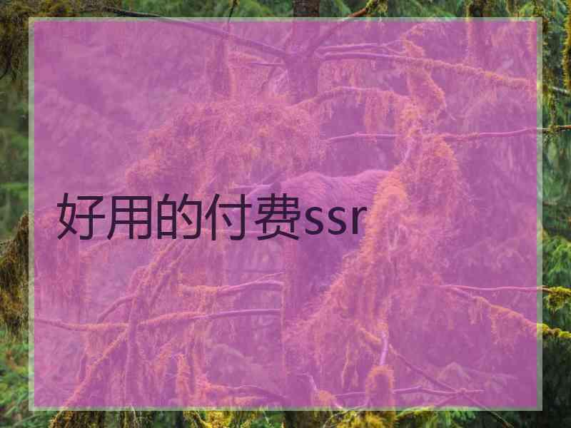 好用的付费ssr