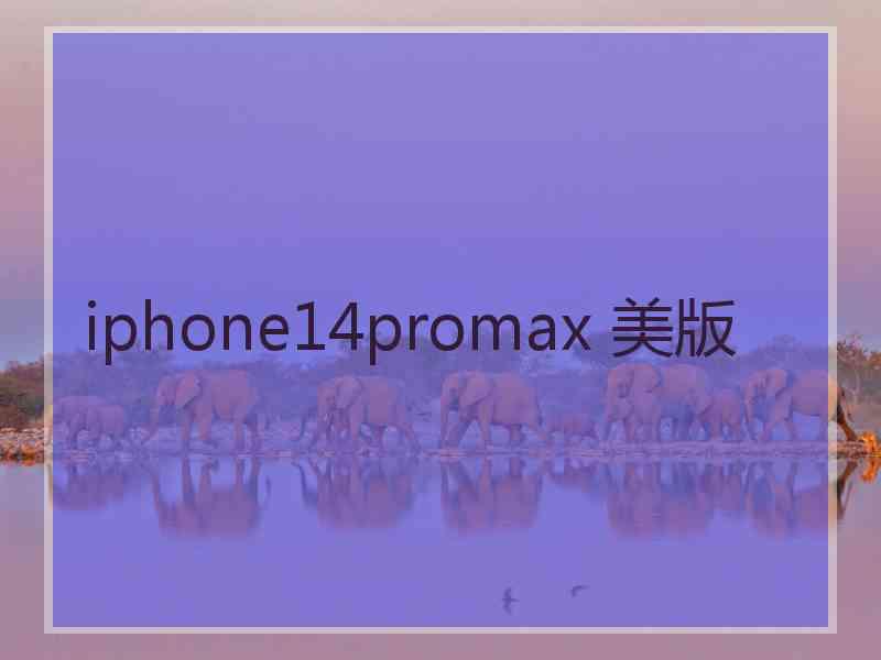 iphone14promax 美版