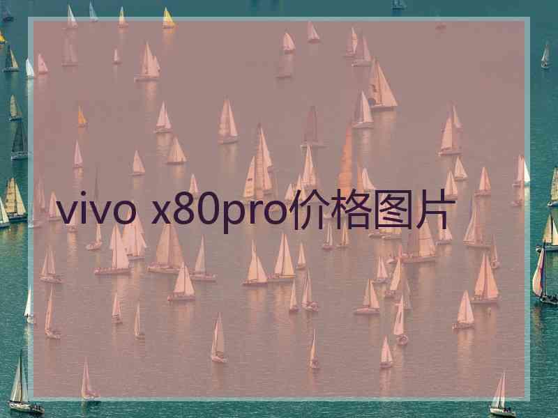 vivo x80pro价格图片