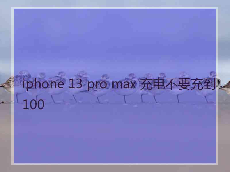 iphone 13 pro max 充电不要充到100