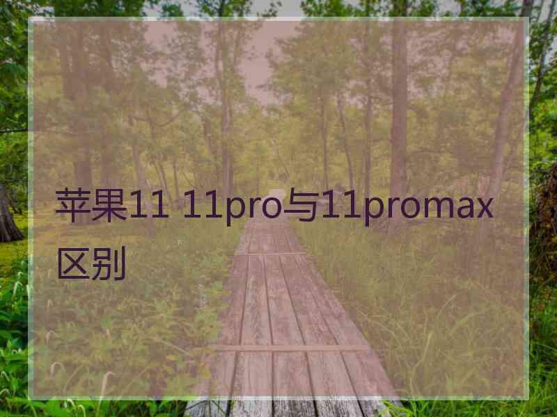 苹果11 11pro与11promax区别