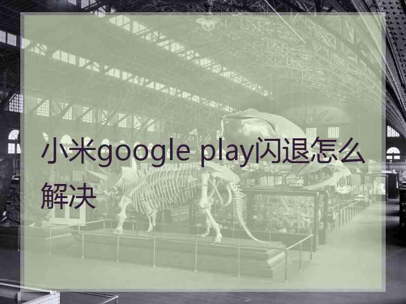 小米google play闪退怎么解决