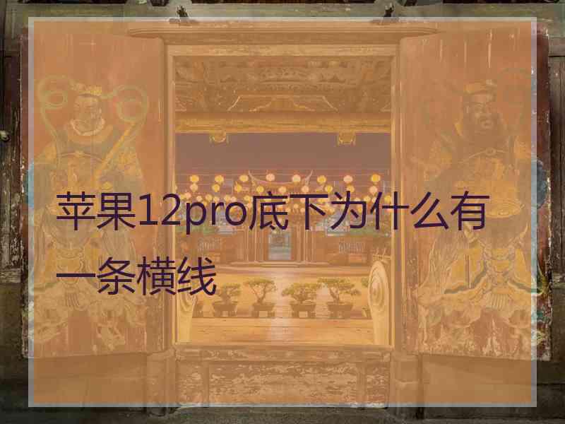 苹果12pro底下为什么有一条横线