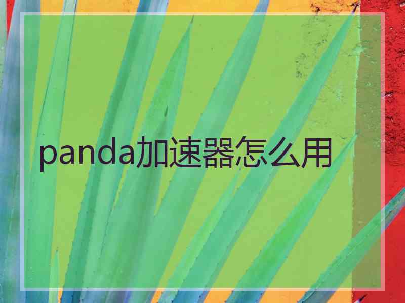 panda加速器怎么用