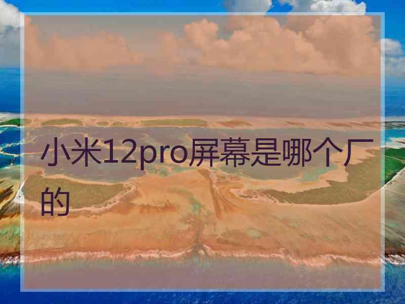 小米12pro屏幕是哪个厂的