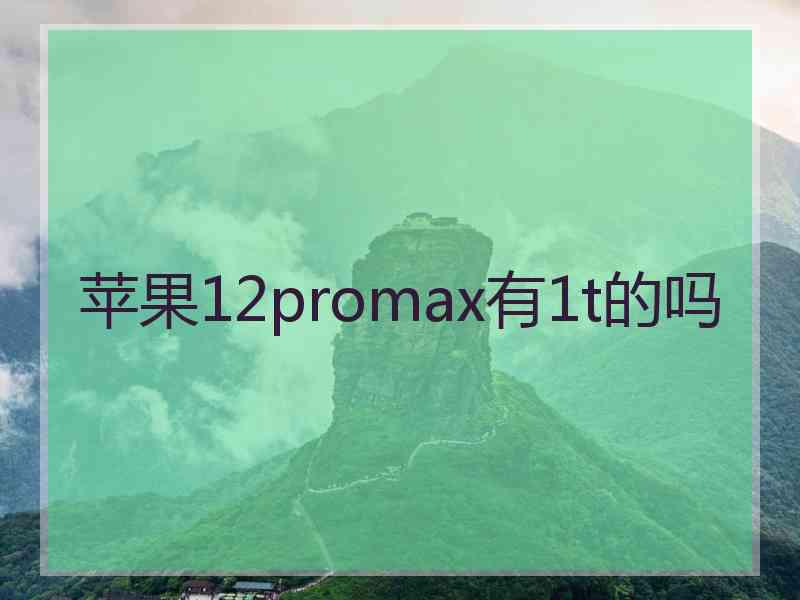 苹果12promax有1t的吗