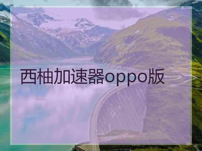 西柚加速器oppo版