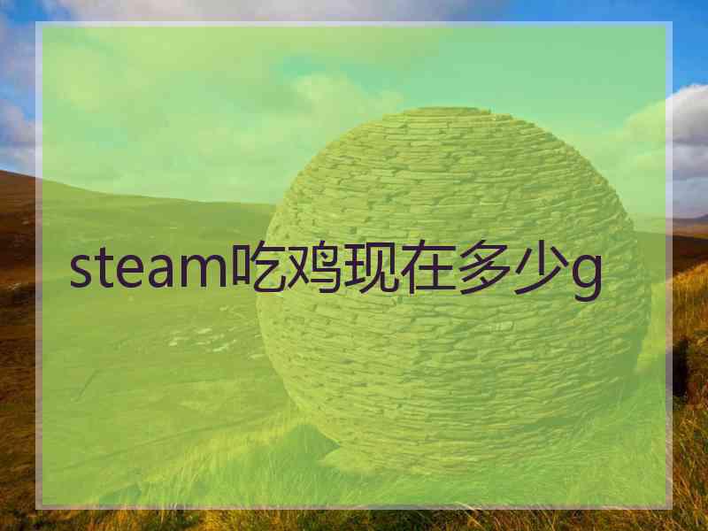 steam吃鸡现在多少g