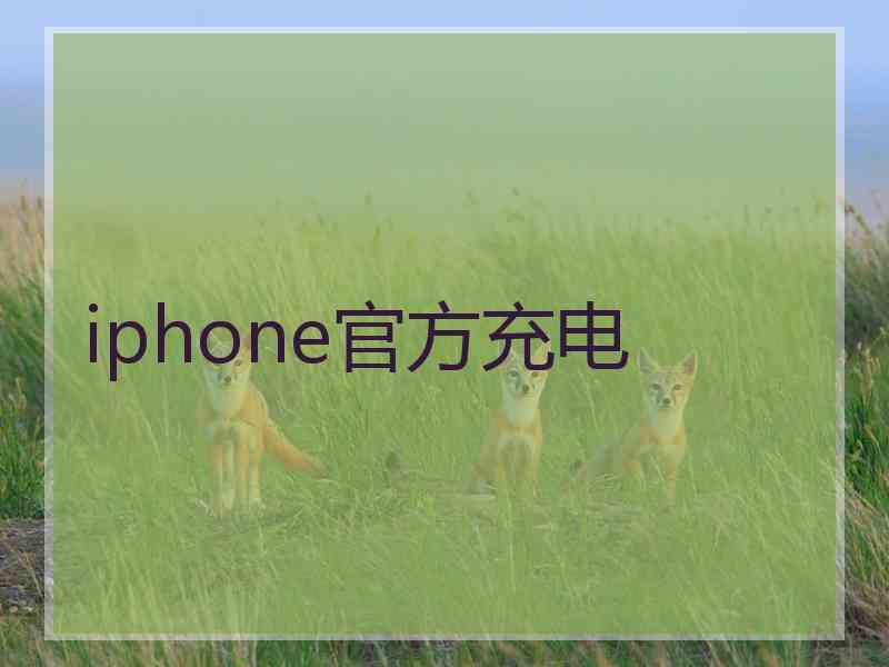 iphone官方充电