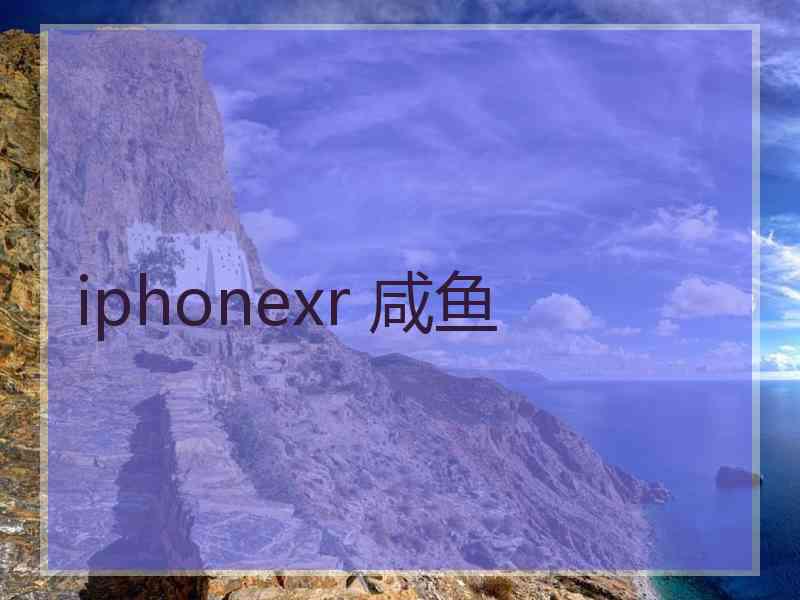 iphonexr 咸鱼