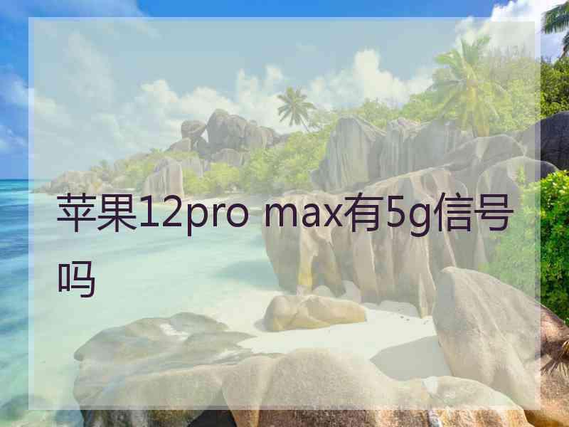 苹果12pro max有5g信号吗