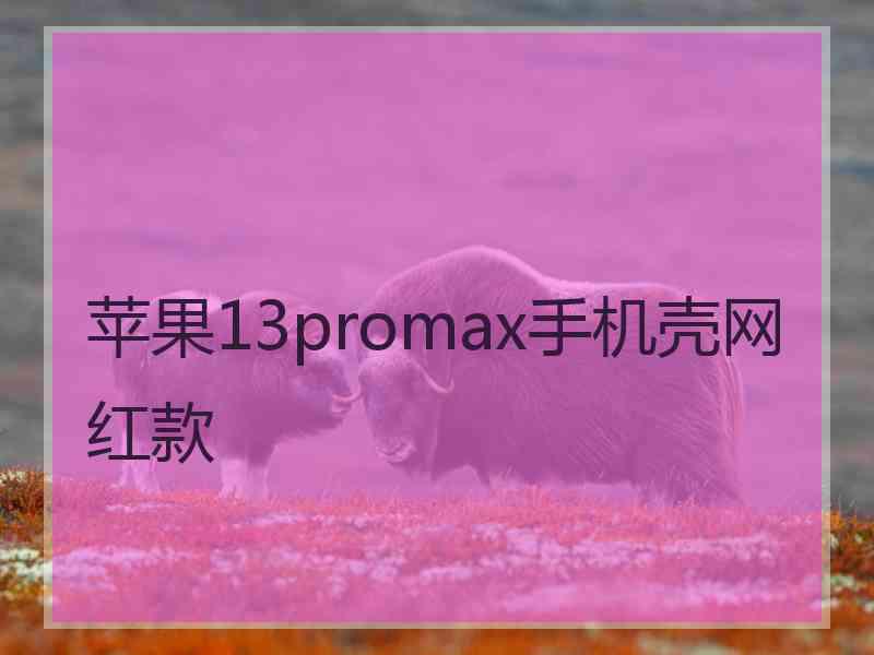 苹果13promax手机壳网红款